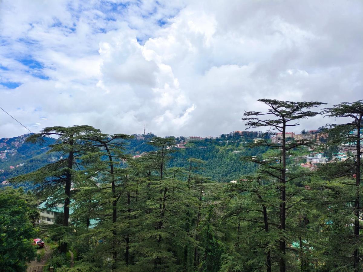 Magic Stays - Shimla Royale - Free Pickup From Railway Station Shimla Exterior photo